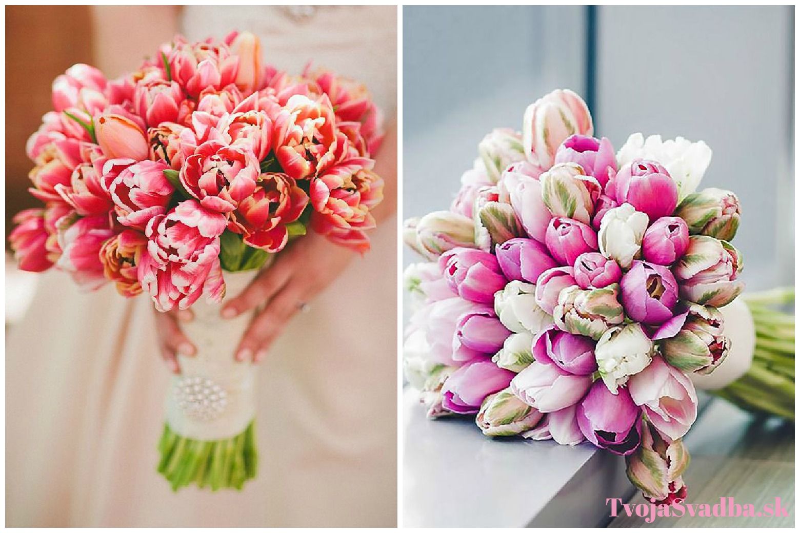 farebné tulipány