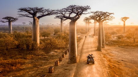 Svadobná cesta na Madagaskar: Exotika, luxus a krásna príroda