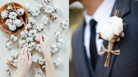 Bavlnovník vo svadobnej výzdobe: Očarujúci a ľahký ako pierko