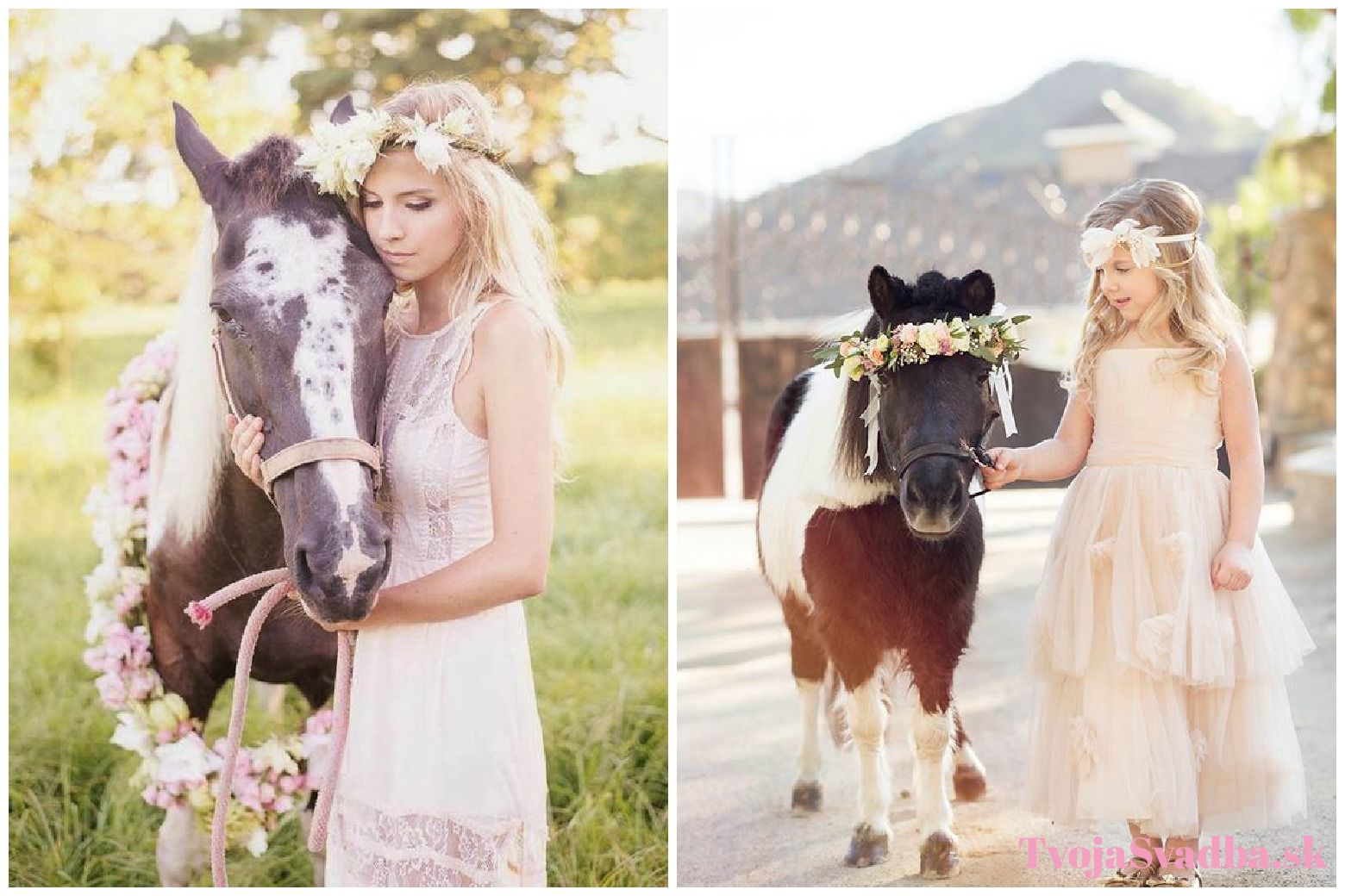 svadobné fotografie s koňmi